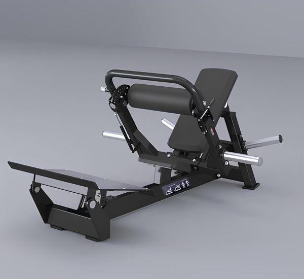 Hip Thrust
