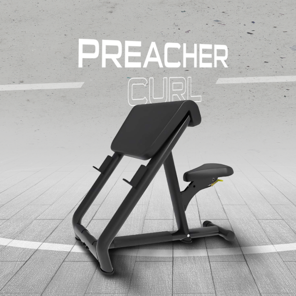 Preacher Curl | Biceps Curl